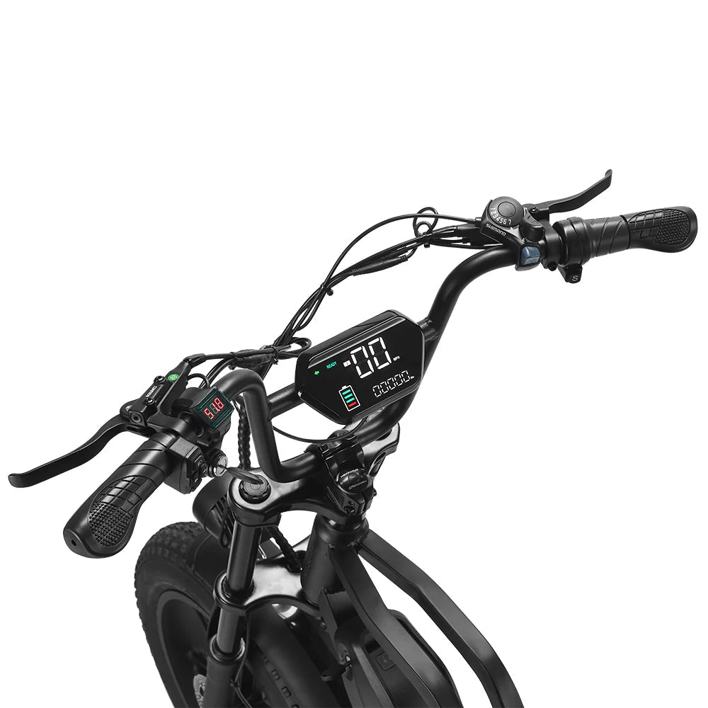 دراجة كهربائية للطرق الوعرة HAPPYRUN G60C بإطارات عريضة 20 بوصة